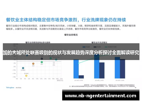 加的夫城所处联赛级别的现状与发展趋势深度分析探讨全面解读研究