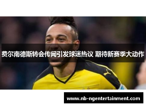 费尔南德斯转会传闻引发球迷热议 期待新赛季大动作